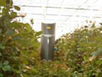 4日目（2012年10月2日）午前中は温室環境制御コンピューターを利用しているバラ農家さんを訪問しました。